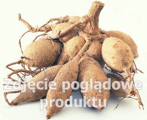 karpa_dalia.jpg