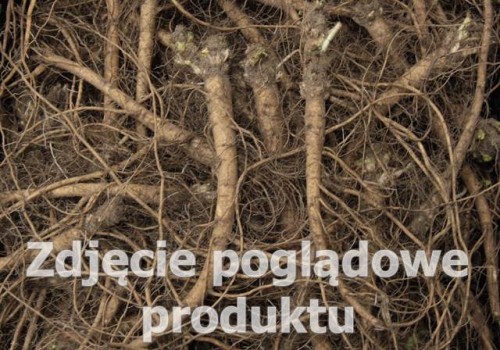 malwa.jpg