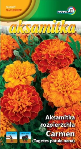 Aksamitka rozpierzchła Carmen 1g  / L /