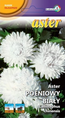 Aster peoniowy biały 1g  / L /