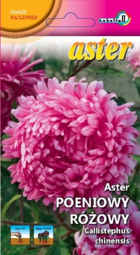 Aster peoniowy różowy Ofelia 1g  / L /