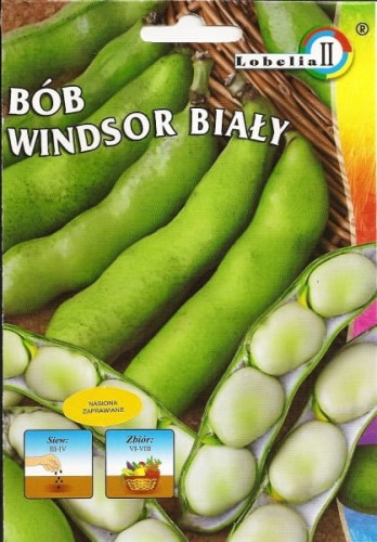 Bób Windsor Biały 50g  / L /