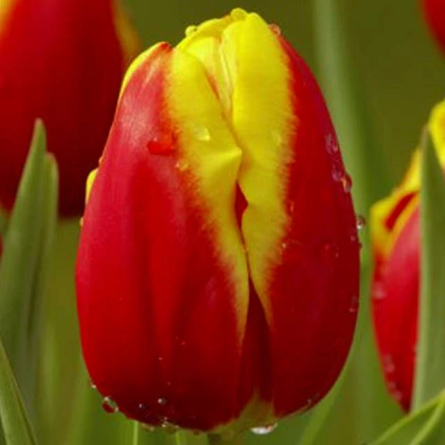 57179_52090