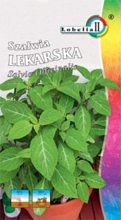 Szałwia lekarska 1g  / L /