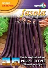 Fasola fioletowa karłowa Purple Teepee 20g  / L /