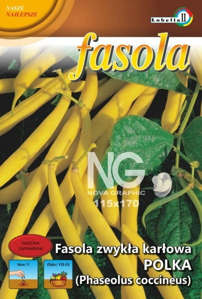 56581_51471