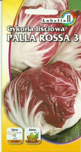 Cykoria Palla Rossa3 5g  / L /