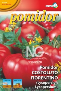 Pomidor malinowy Costoluto Fiorentino 0,5g  / L /