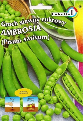 Groch cukrowy Ambrosia 20g / L /