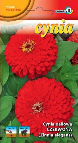 Cynia daliowa czerwona Zinnia elegans 1g  / L /