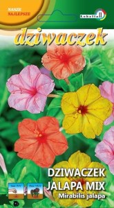 Dziwaczek Jalapa 2g  / L /