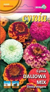 Cynia daliowa mix 1g  / L /