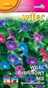 Wilec purpurowy mix 2g  / L /