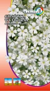 Gipsówka wytworna biała 1g  / L /