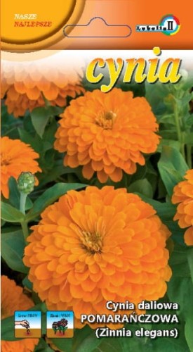Cynia daliowa pomarańczowa 1g  / L /