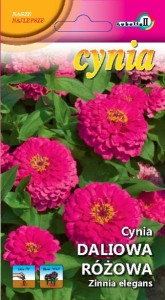 Cynia daliowa różowa 1g  / L /