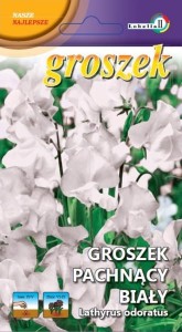 Groszek pachnący biały 2g  / L /