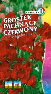 Groszek pachnący czerwony 2g  / L /