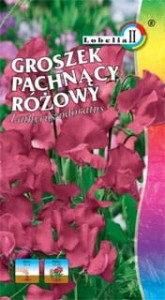 Groszek pachnący różowy 2g  / L /