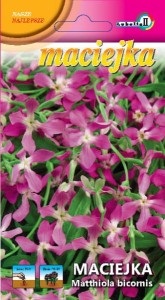 Maciejka dwuroga 3g  / L /
