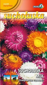 Suchołuska ogrodowa mieszanka 1g  / L /