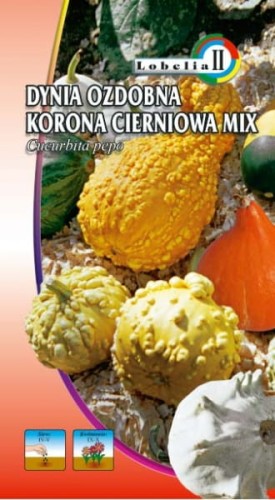 Dynia ozdobna Korona Cierniowa mix 1g  / L /