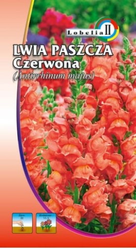 Lwia paszcza czerwona 1g  / L /