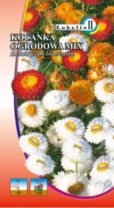 Kocanka ogrodowa mix 1g  / L /