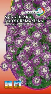 Smagliczka nadmorska fioletowa 0,5g  / L /