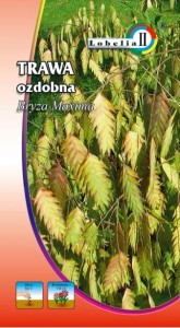 Trawa Bryza Maxima 1g  / L /