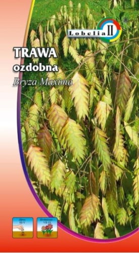 Trawa Bryza Maxima 1g  / L /