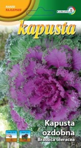 Kapusta ozdobna mieszanka 0,5g  / L /