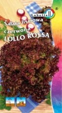 Sałata liściowa czerwona Lollo Rossa 1g  / L /