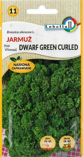 Jarmuż Dwarf Green Curled typ Vitessa 2g / L /