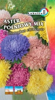 Aster peoniowy mix 1g  / L /
