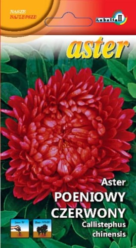 Aster peoniowy czerwony Stanisław 1g  / L /