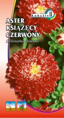 Aster książęcy czerwony 1g  / L /