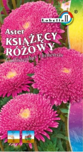 Aster książęcy różowy 1g  / L /