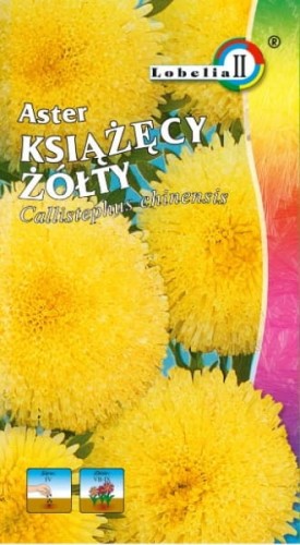 Aster książęcy żółty 1g  / L /