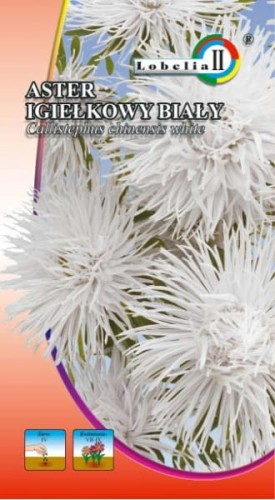 Aster igiełkowy biały 1g  / L /