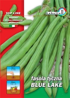 Fasola zielona tyczna Blue Lake 20g   / L /