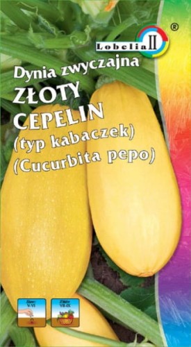 Dynia zwyczajna kabaczek Złoty Cepelin 3g  / L /