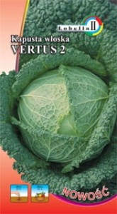 Kapusta włoska Vertus 2   2g  / L /