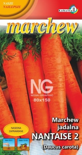 Marchew Nantaise 2 średniopóźna 5g  / L /