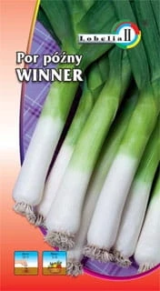 57776_52504
