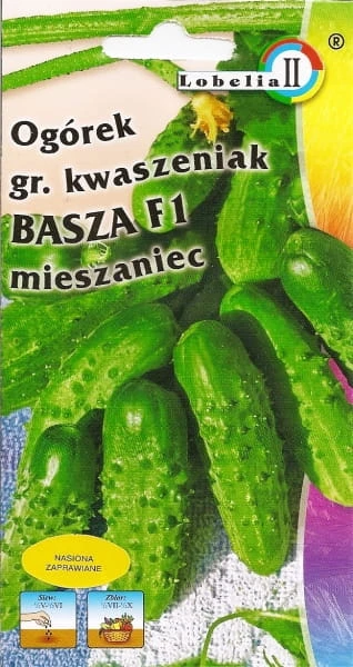 57865_52805