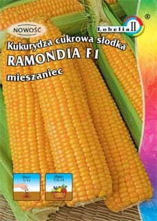 57867_52807