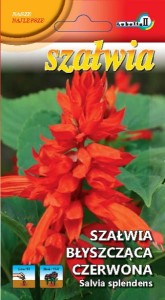 Szałwia błyszcząca czerwona  0,3g  / L /