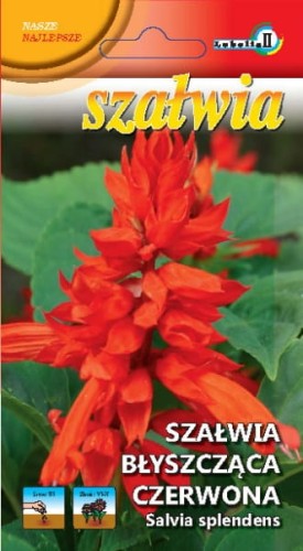 Szałwia błyszcząca czerwona  0,3g  / L /