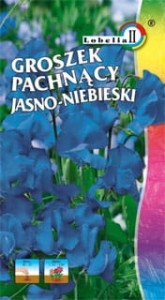 Groszek pachnący jasnoniebieski 2g  / L /